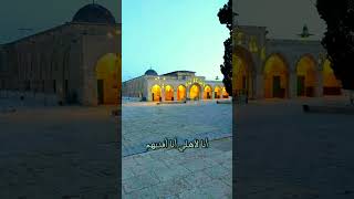 Ana dammi Falastini ❤️No Music palestine islam quran explore subscribe foryou [upl. by Wil28]