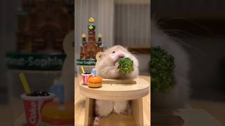 Hamster 🐹 eating broccoli asmr 🥦 😋 animalfriends cute Hamster mukbang asmrfood ItsSunnyazi [upl. by Silva]