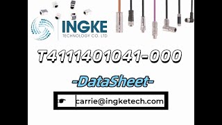 T4111401041000 DataSheet  ingketechnet [upl. by Savannah787]