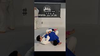 기무라 락kimura lock jiujitsu jiujitsulifestyle 주짓수 [upl. by Medeah70]