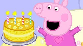 Peppa Pig in Hindi  Mera Janamdin ki Party  हिंदी Kahaniya  Hindi Cartoons for Kids [upl. by Dwight312]