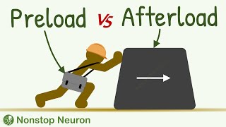 Preload vs Afterload [upl. by Ardua]