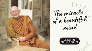 Ajahn Sumedho  108 Talks  25108  The miracle of a beautiful mind [upl. by Shaper914]