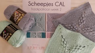 Week 2 Scheepjes CAL 2014  Nederlands  Dutch [upl. by Oralla849]