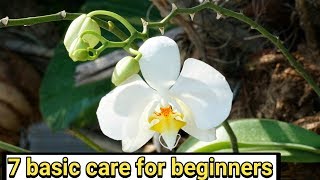 7 basic care of orchid plant in Hindi  Tech garden [upl. by Henryson215]