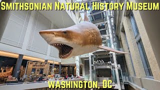 Smithsonian Natural History Museum Tour  Washington DC [upl. by Kampmeier]