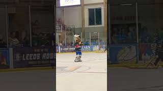 Leeds ⚔️ vs Swindon 🐈54 comeback game win weareknights icehockey hockey player mascot army [upl. by Anaahs63]