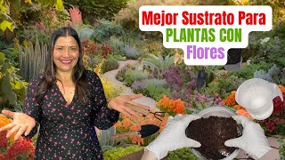 Aprende hacer sustrato de la mejor calidad con nutrientes plantas [upl. by Mehitable]