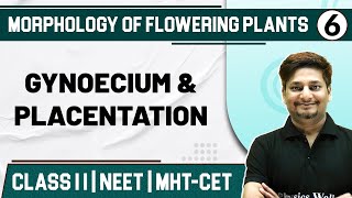 MORPHOLOGY OF FLOWERING PLANTS 06  Gynoecium and Placentation  Botany  Class11thMHTCETNEET [upl. by Adnola]