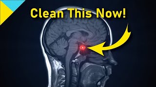 10100 Hertz Heal Pituitary Gland ❯❯❯ WAIT TILL 6 Mins • Quantum Miracle Formula Frequency [upl. by Mook]