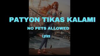 Patyon Tikas Kalami Lyrics I No Pets Allowed [upl. by Eniledgam306]