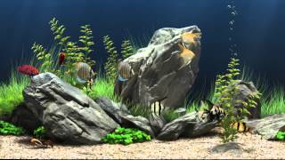 Dream Aquarium Virtual Fishtank 1 [upl. by Mcarthur]