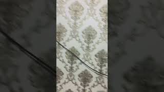 🛌 Room Embossed Wallpaper Workentertainment home youtube popular homedecor [upl. by Morita]