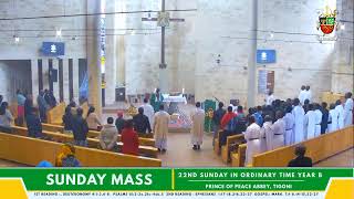 SUNDAY MASS 22ND SUNDAY IN ORDINARY TIME  PRINCE OF PEACE ABBEY TIGONI PART [upl. by Eyma576]