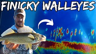 5 Tips for Finicky Walleyes  How to Catch Walleyes During the Dog Days [upl. by Lebezej505]