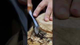 Carving a birch wood log into a tray bowl asmr craftblogger satisfying woodworking woodart [upl. by Esch546]