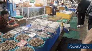 Visit Jumunjin Seafood Market in Gangneung Si Korea Sep 30 2024 [upl. by Ryley]