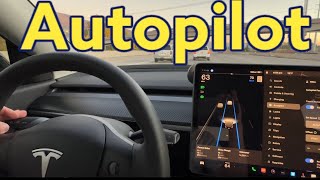 Tesla AutoPilot Basics  How To Use Auto Pilot In Tesla Model Y amp 3 [upl. by Yntirb787]