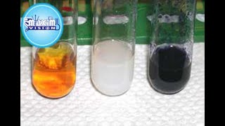 Why Does Iodine Turn Starch Blue [upl. by Acinemod]