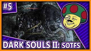 Moggy spielt Dark Souls 2 SOTFS  Blind 5 [upl. by Carlina]