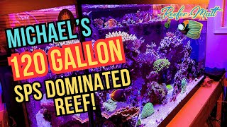 Michael’s 120 Gallon SPS Dominated Reef Tank [upl. by Belldas55]