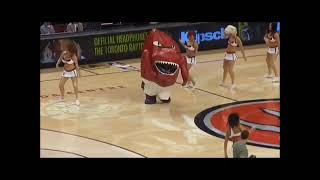 Toronto Raptor mascot eats cheerleader [upl. by Nwadahs]