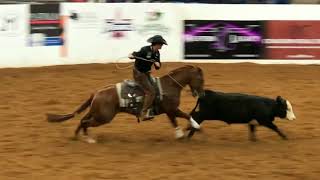 2019 NRCHA Worlds Greatest Horseman Finalists Runs [upl. by Legna]