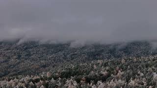 Autumn 2024 in Bogd Khan Mountain [upl. by Barsky]