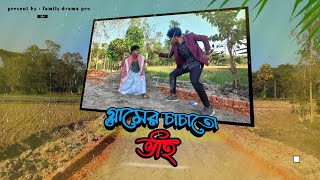 গ্রামের চাচাতো ভাই  bangla funny video 2023  family drama pro  jahid  masud [upl. by Roice]