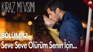 Kiraz Mevsimi  Seve Seve Ölürüm Senin İçin  42Bölüm [upl. by Yerrok]