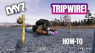 DayZ Tripwires HOWTO [upl. by Emolas117]