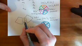 The Structure and Opening Mechanism of CysLoop Receptors Part 5 [upl. by Sheng]