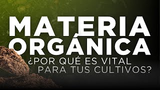 Materia orgánica Claves para un suelo más saludable [upl. by Engud]