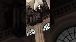 The organ of Saint Sernin Bascilica Toulouse  August 2018 [upl. by Copeland]