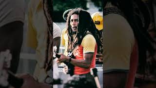 BOB MARLEY THE LEGEND bobmarley reggaemusic [upl. by Lemar]