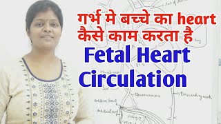 Fetal Heart Circulation lecture in hindi  What is ductus venosusforamen ovale amp ductus arteriosus [upl. by Saddler]