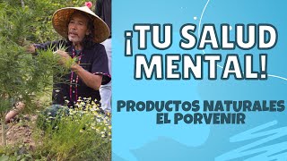 PLANTAS y EMOCIONES Maneja la Tristeza la Ira y la Euforia con CUIDADO para el HIGADO y el CORAZÓN [upl. by Annauqal]