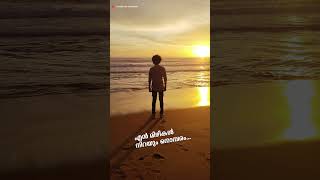 Parayathe Ariyathe Lyricslove life beach beachlife sad sadstatus malayalamlyrical [upl. by Ativad]