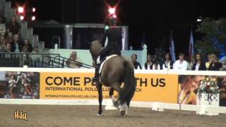 HorseJunkiesUnitedcom  Charlotte Dujardin and Valegro GP Freestyle World Dressage Masters [upl. by Valdis]