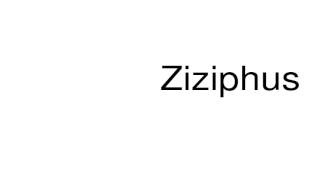 How to pronounce Ziziphus [upl. by Esidarap]