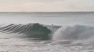 Noosa surf surfing queensland australia surfer afternoon noosa [upl. by Wolcott]