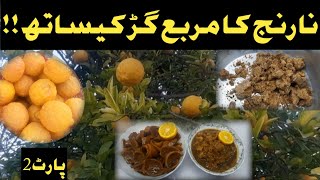 Naranj ke chilky ka murabba  نارج کے چھلکے کا مربع  Tangerine Peel Jam  How to make jam [upl. by Shelby744]