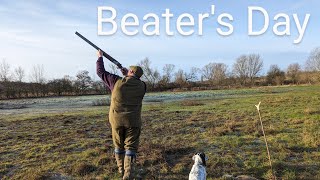 A Days Beating At A Shoot In Suffolk  Beaters Day [upl. by Perren]