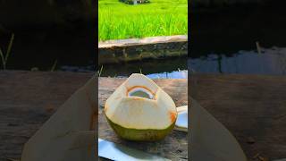 Slicing a green coconut is very satisfying asmr satisfying [upl. by Inalaehon]