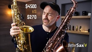 Cheapest Sax on Amazon VS My Professional Alto Saxophone [upl. by Naoma183]