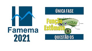 Famema2021Quando chegam às plantas as bactérias Pseudomonas syringae logo [upl. by Lleryt]