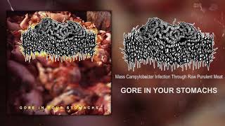 Mass Campylobacter Infection Through Raw Purulent Meat  Gore in your Stomachs 2019  Gorenoise [upl. by Gnud]