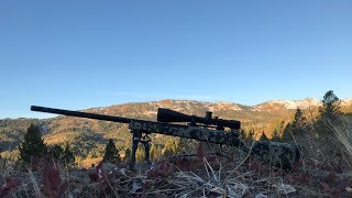 Christensen Arms Ridgeline 30 Nosler [upl. by Darej]