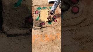 Scientific Rangoli by students to represent the structure of cell [upl. by Schalles125]