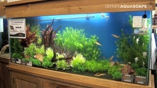 Aquascaping  Aquarium Ideas from Aquatics Live 2012 part 5 [upl. by Kaslik]